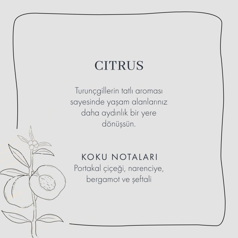 Citrus Fragrance Set - Image 3