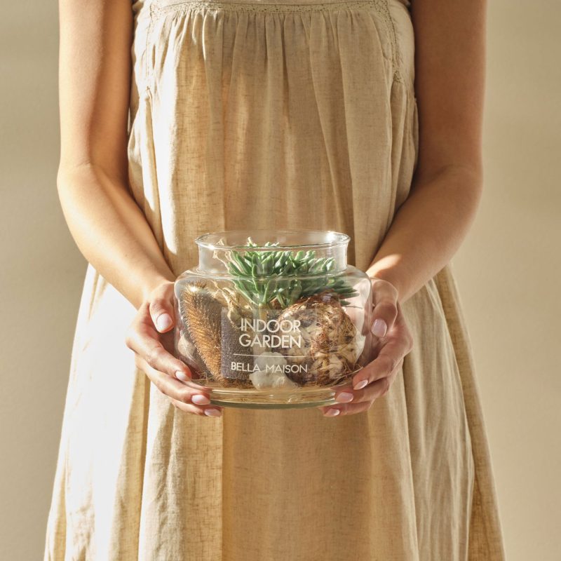 Succulent Arrangement Large - Image 2