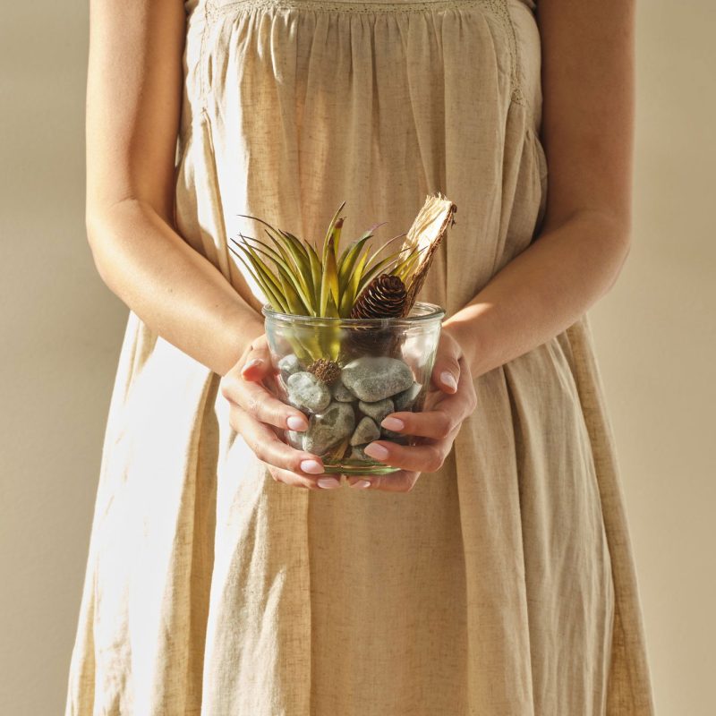 Terrarium Small Glass Flower Pot - Image 2