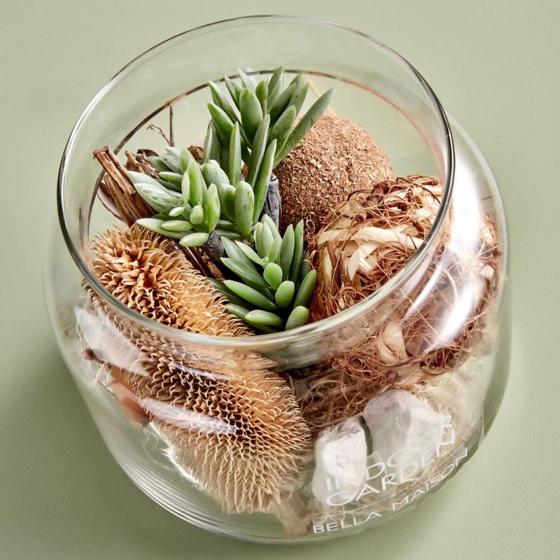 Succulent Arrangement Large - Image 3