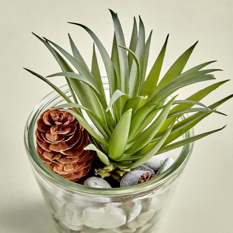 Terrarium Small Glass Flower Pot - Image 3