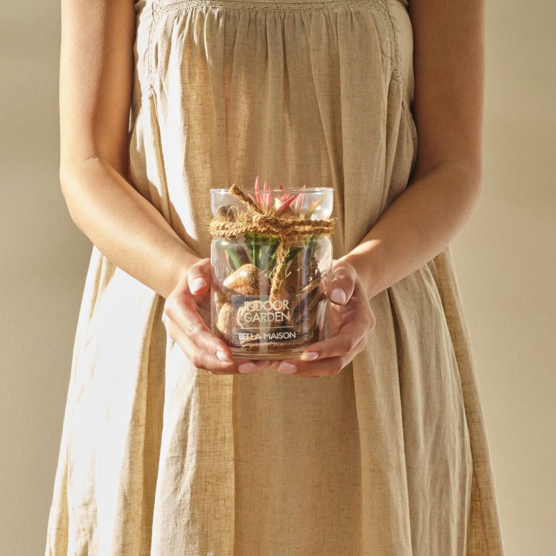 Succulent Arrangement Small - Image 2