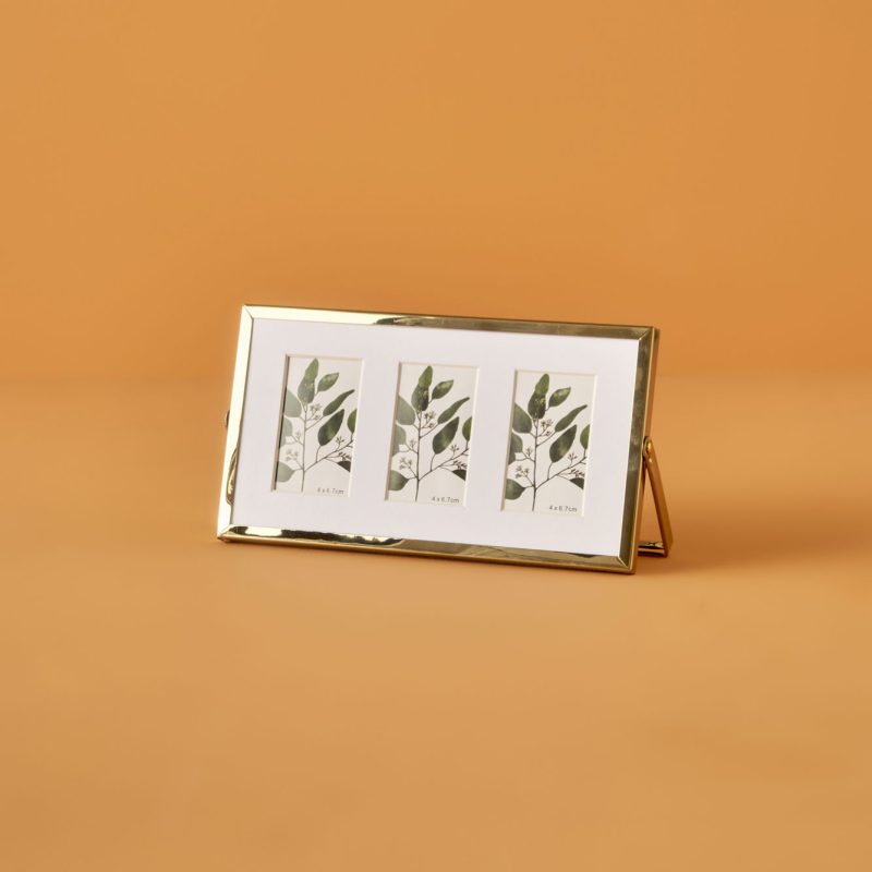 Carisa Frame