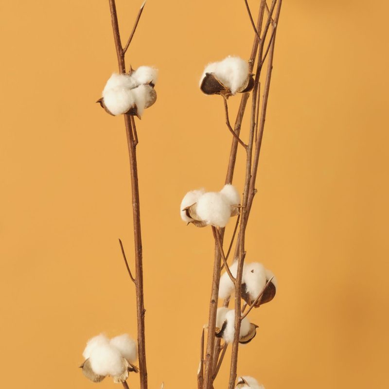 Cotton 4-Piece Branch Bouquet (95 cm) - Image 2