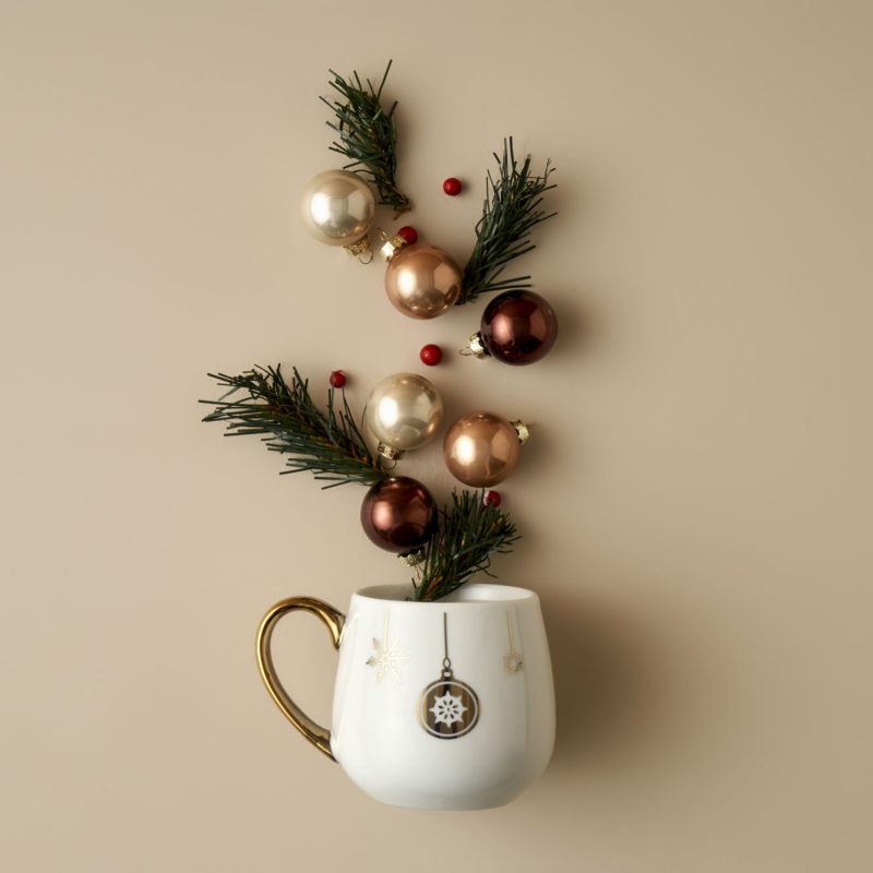 Frost Mug 375 cc