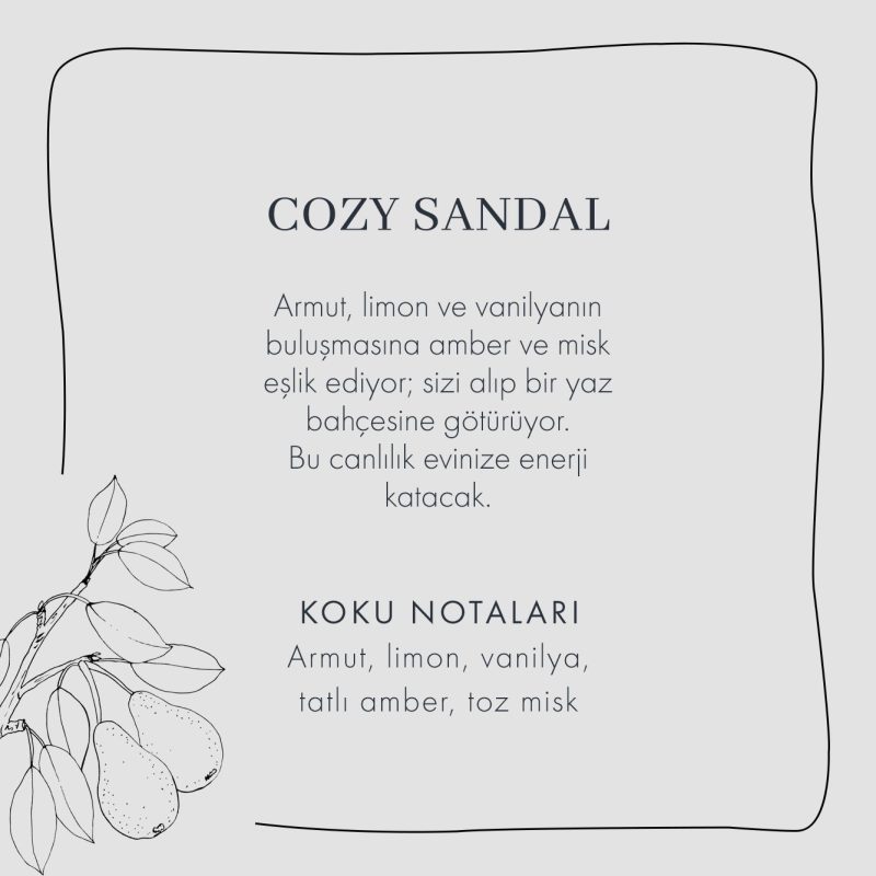 Cozy Sandal Room Fragrance 100 ml - Image 3