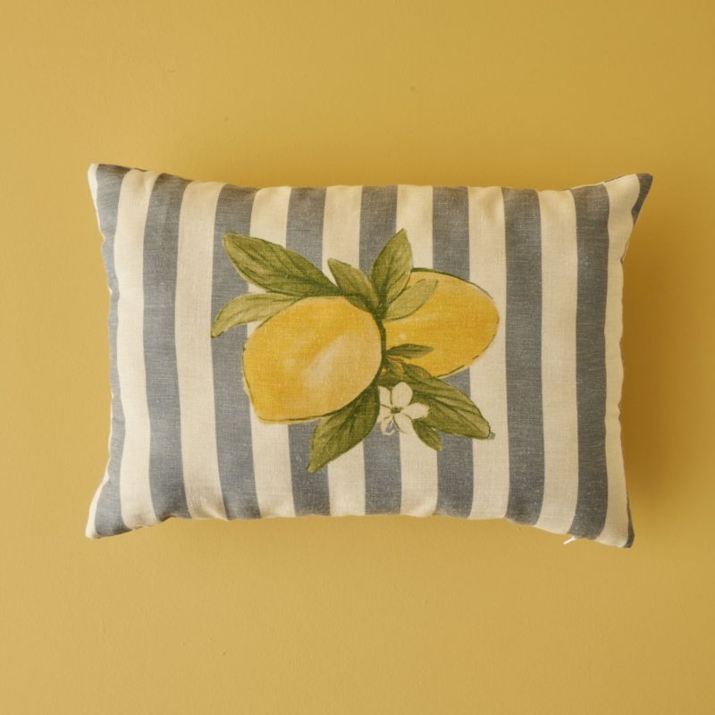 Lemoncello Printed Throw Pillow Cover